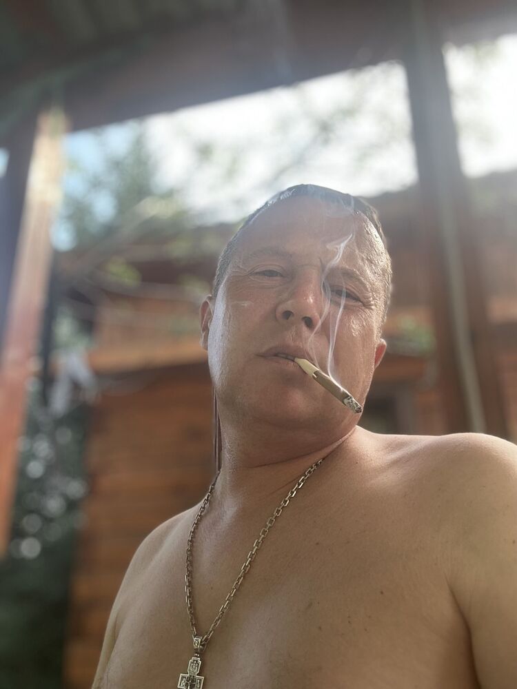  43932499  , 50 ,    