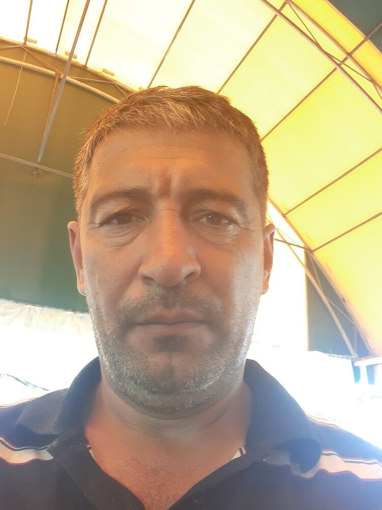  17008419  , 51 ,    