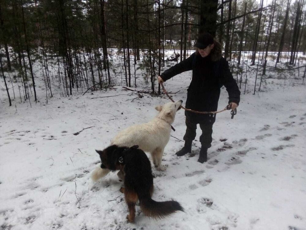 ���� 31812039 ����� ����, 21 ���, ���� ���������� � ��������