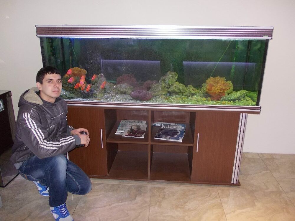 ���������� ������, ���� ������� �����, 34 ����, ������������ ��� ������, ����� � ���������, c�������� ���������