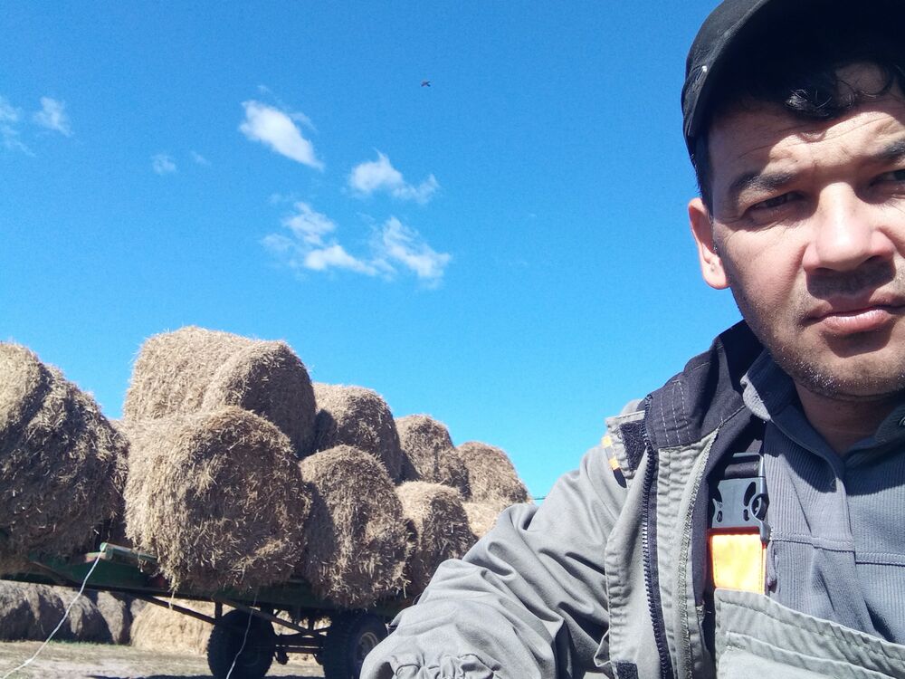 ���������� ����, ���� ������� ����, 39 ���, ������������ ��� ������, ����� � ���������