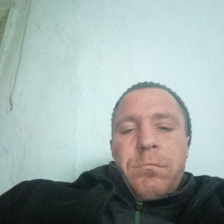  48806199  , 36 ,    