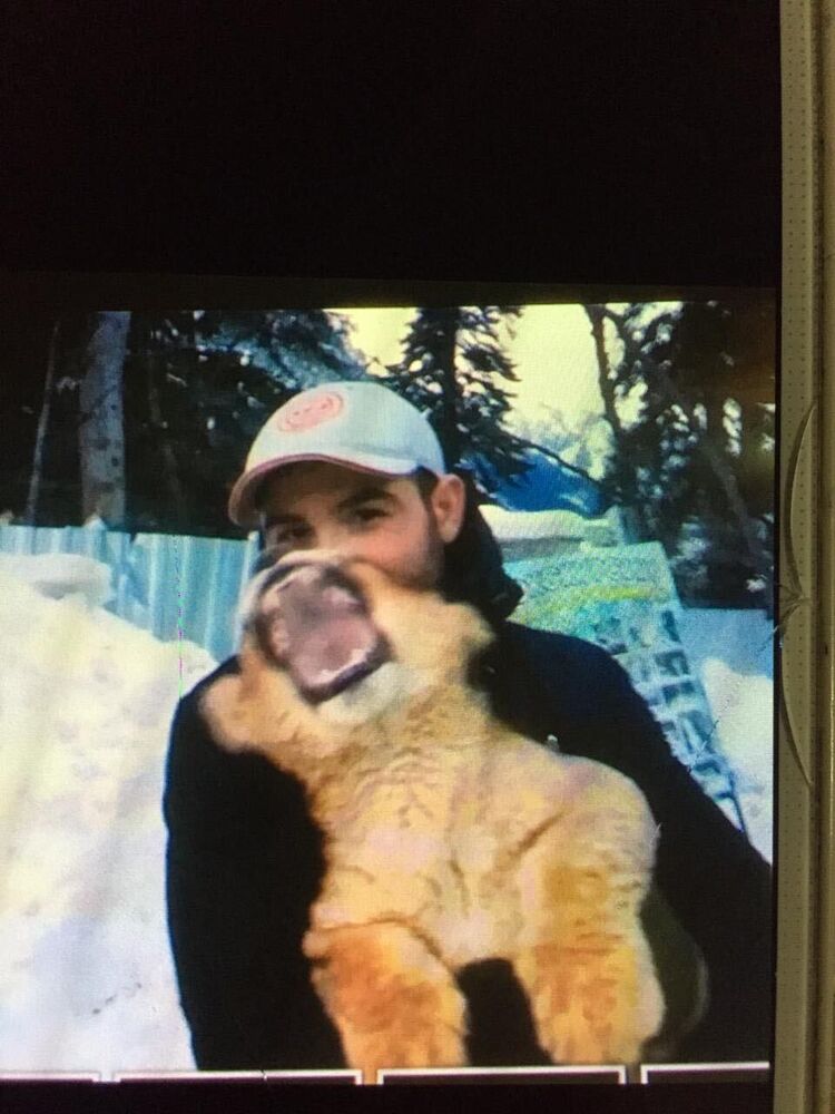 ���������� ������, ���� ������� ����, 38 ���, ������������ ��� ������, ����� � ���������, c�������� ���������, ���������