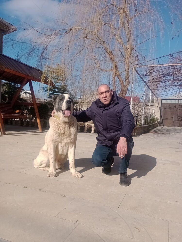  36000979  Zaur, 43 ,    