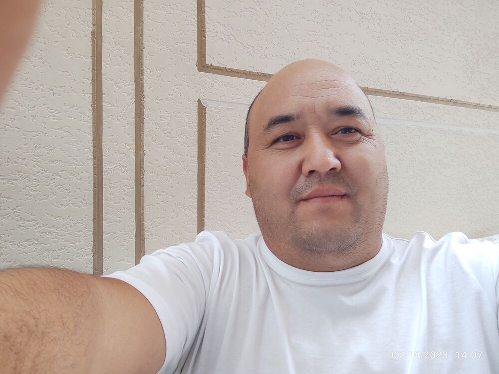  38609179  , 41 ,    