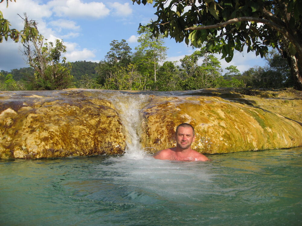 ���� 55623679 ������� �����, 48 ���, ���� ���������� � ��������