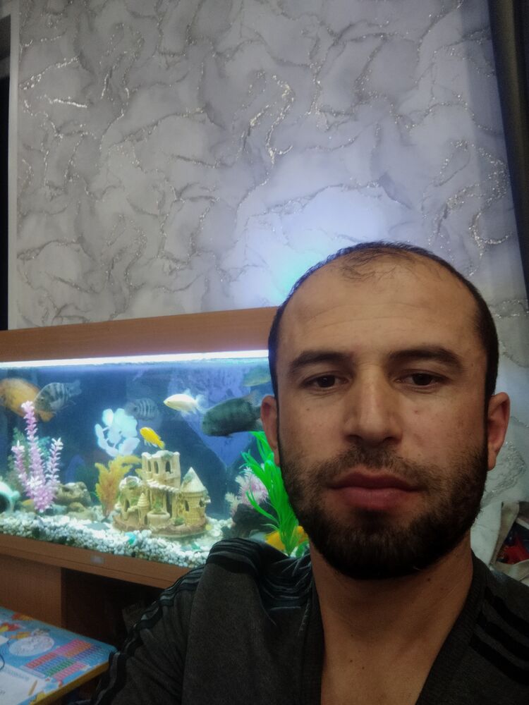 ���� 39247949 ������� Odil, 33 ����, ���� ���������� � ������