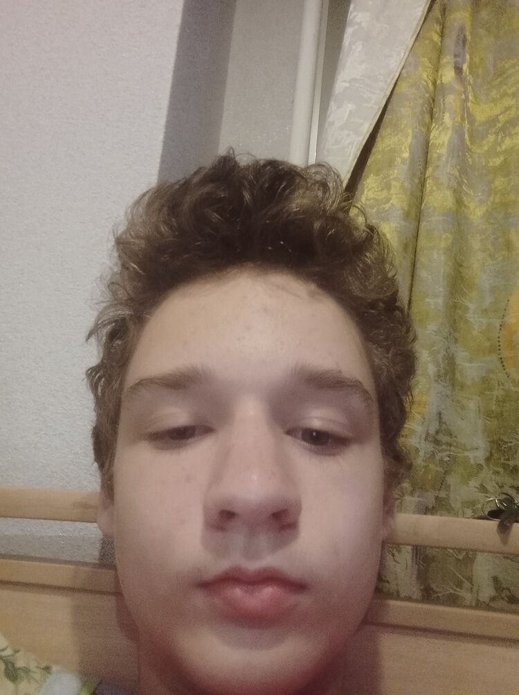  28463889  , 33 ,    