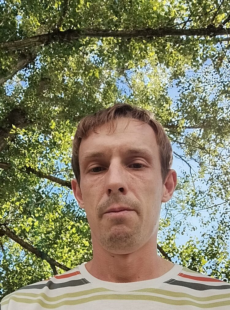  53288149  Aleksey, 37 ,    