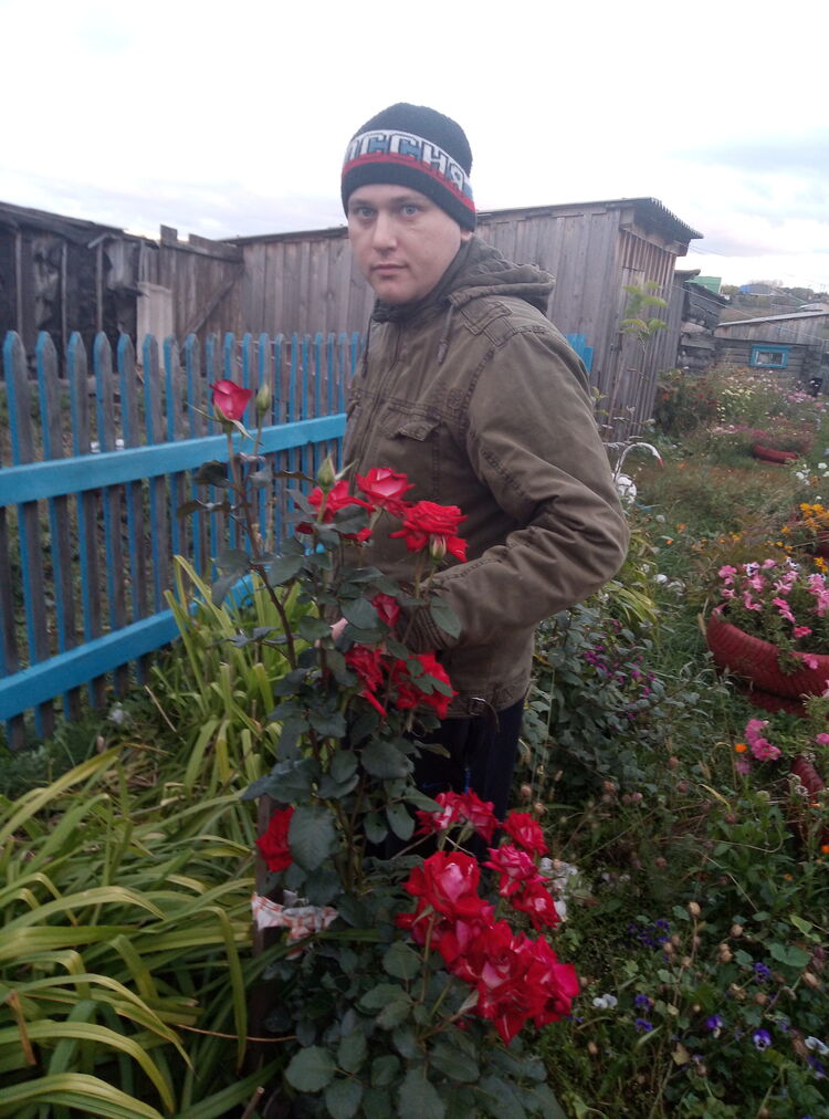 ���������� �������, ���� ������� ��������, 36 ���, ������������ ��� ������, ����� � ���������, c�������� ���������, ���������