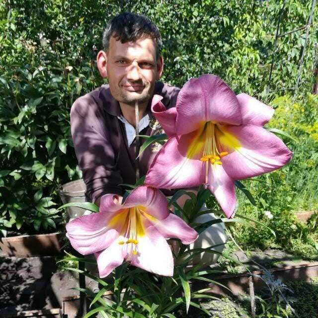 ���� 23449469 ������� Roman, 45 ���, ���� ���������� � �����������