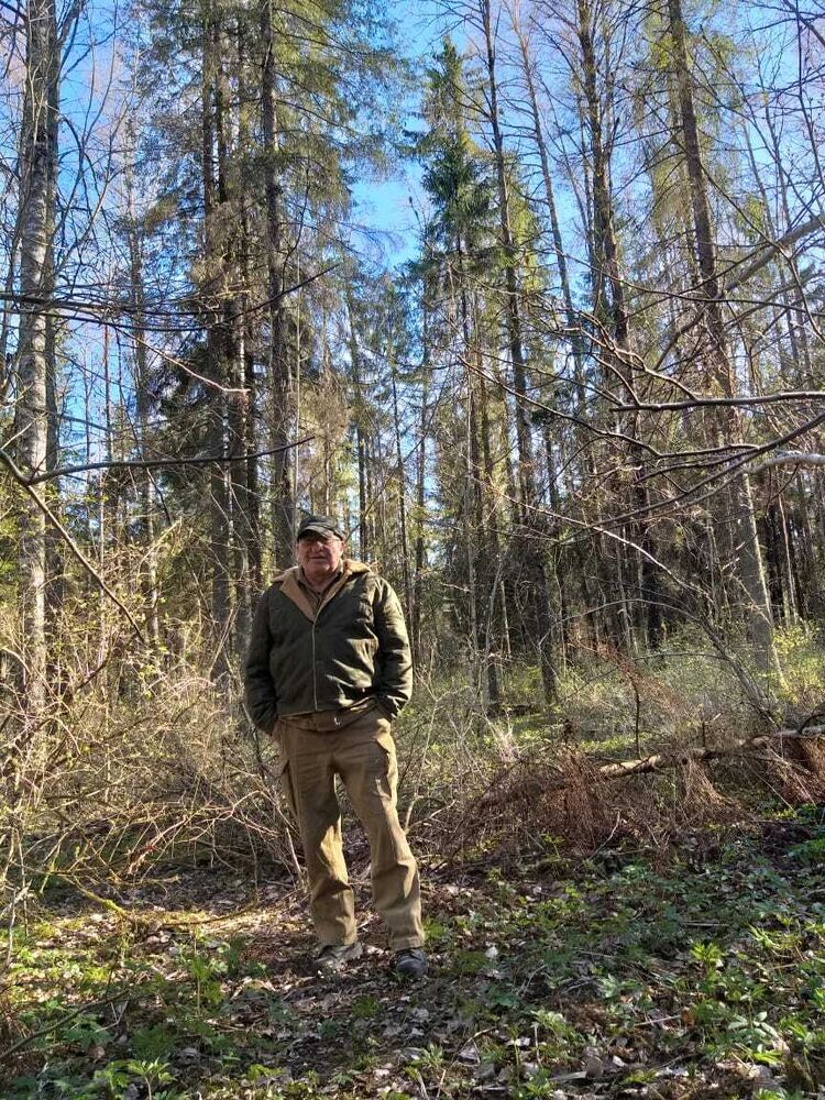 ���������� �����-���������, ���� ������� �������, 75 ���, ������������ ��� ������, ����� � ���������, ���������