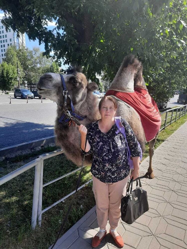  ,   , 46 ,   ,   