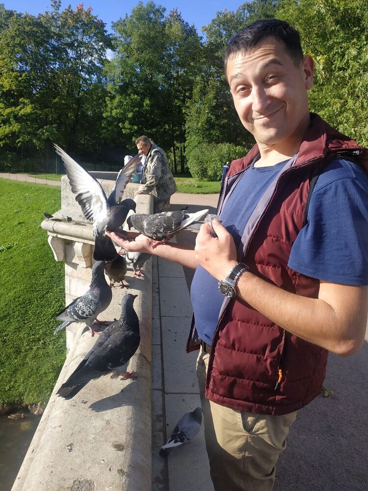 ���� 24103379 ������� ���������, 36 ���, ���� ���������� � �����-����������