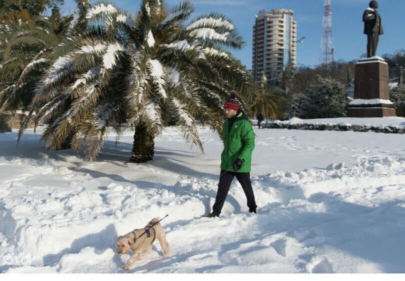 ���������� �������, ���� ������� �������, 35 ���, ������������ ��� ������, ����� � ���������