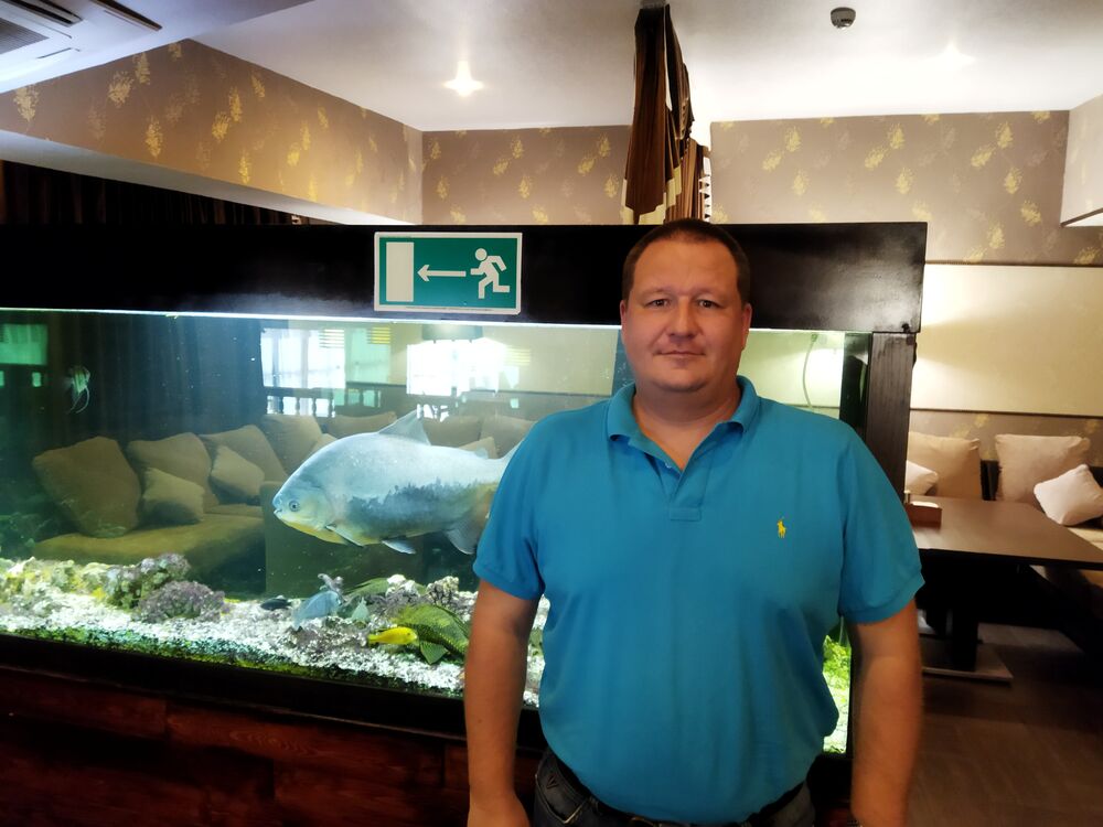  ,   , 43 ,     