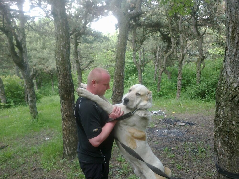 ���������� ��������������, ���� ������� ������, 45 ���, ������������ ��� ����� � ���������, c�������� ���������