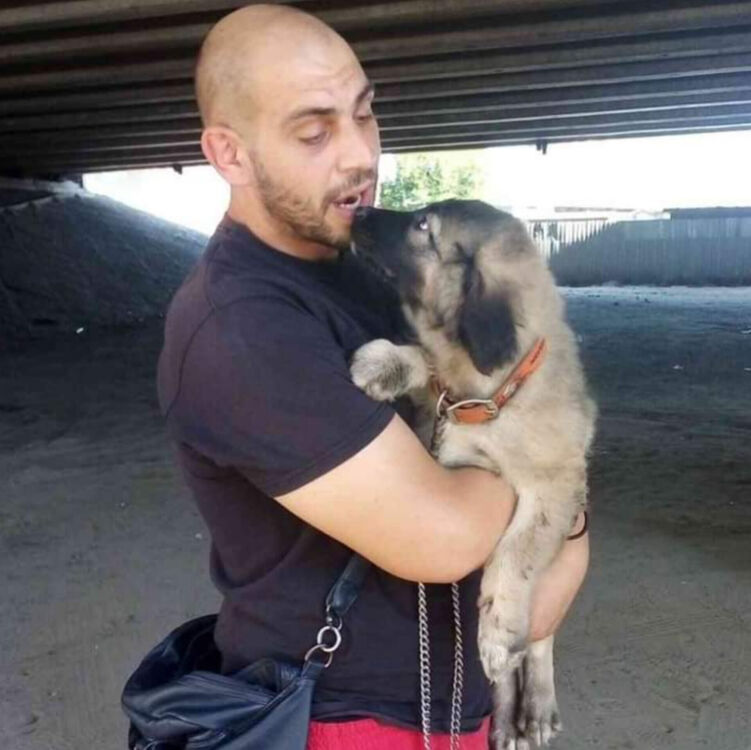 ���� 39699069 ������� �������, 37 ���, ���� ���������� � �����