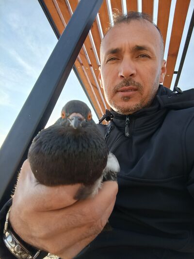  ,   Oktay, 44 ,   ,   