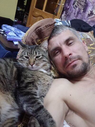  ,   , 41 ,   ,   , c , 