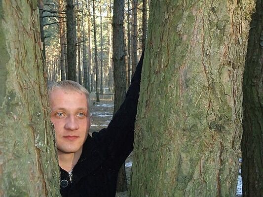  ,   DIMA, 37 ,   ,   , c 