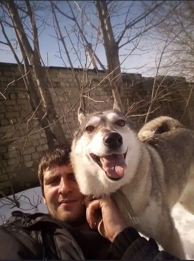  ,   Igor, 33 ,   ,   , c 