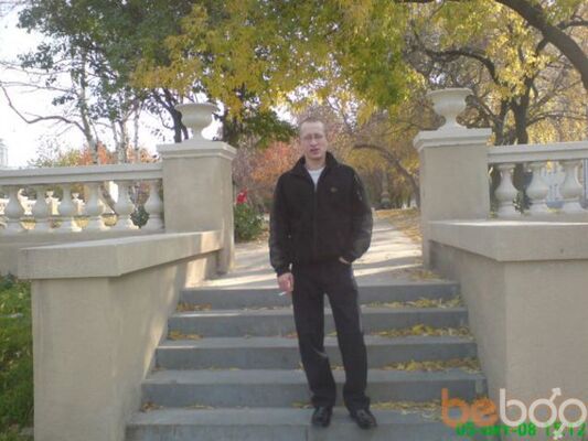  ,   Doberman, 44 ,  