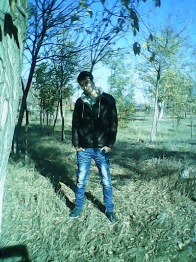  ,   87470511568, 33 ,   