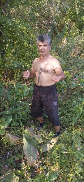  ,   , 54 ,   ,   