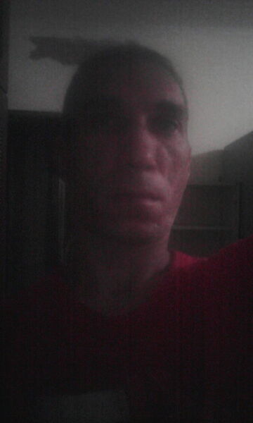  ,   Maks, 41 ,   ,   , c 
