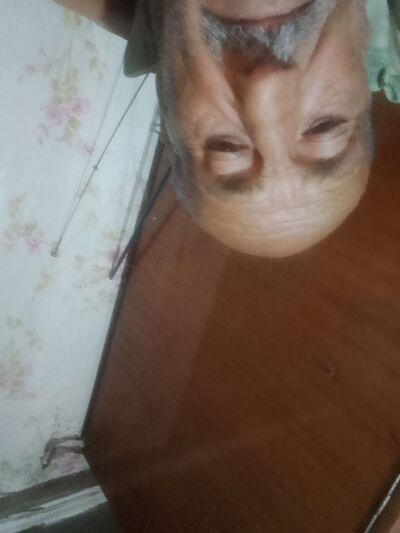  -,   , 76 ,   c 