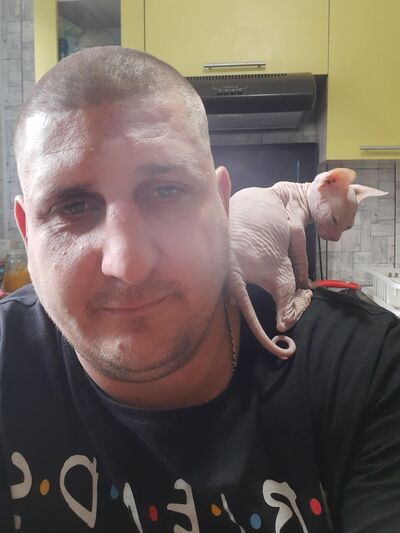  -,   , 36 ,   ,   , c 