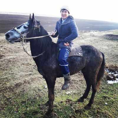  ,   Abzal, 35 ,  