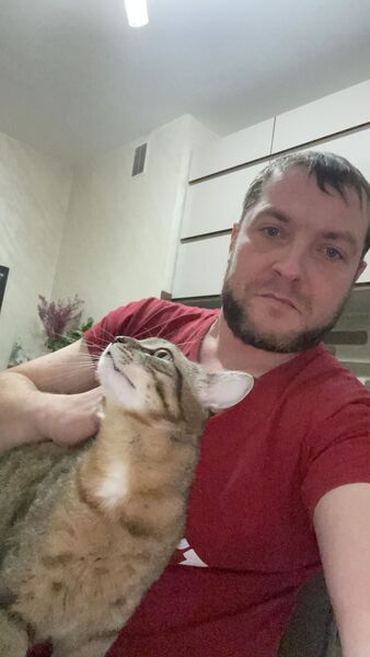  ,   , 41 ,   ,   