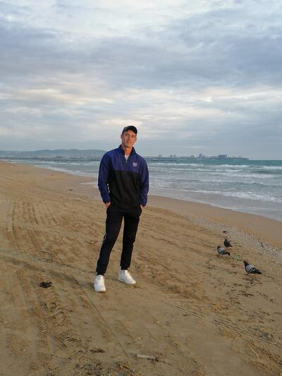  ,   ZS, 31 ,   ,   , 