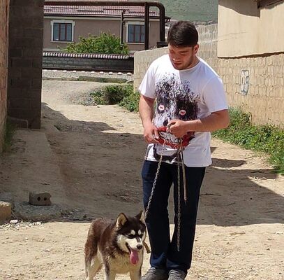  ,   Bashir, 37 ,   ,   