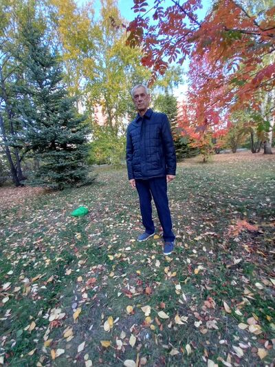  ,   , 65 ,   ,   