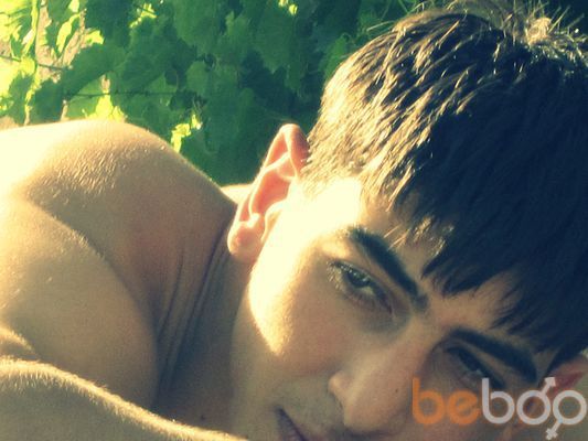  ,   HOVO, 34 ,   ,   , c , 