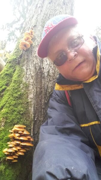  ,   , 65 ,   