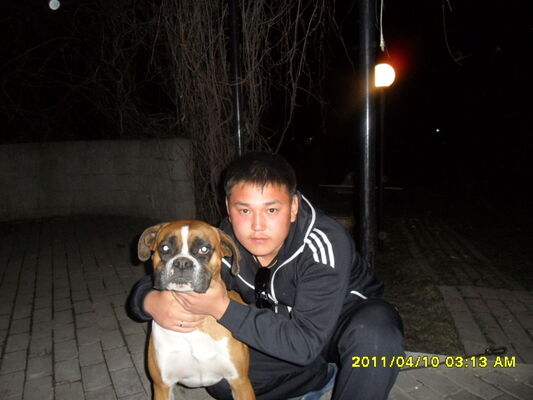  ,   87762027862, 33 ,   ,   , c 