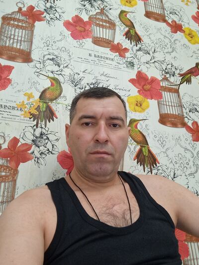  ,   Amid, 40 ,   ,   