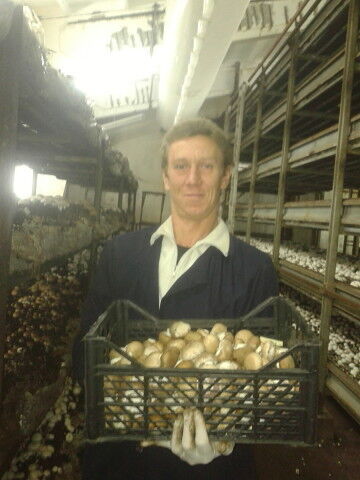 ���������� ������, ���� ������� �������, 47 ���, ������������ ��� ������, ����� � ���������, c�������� ���������