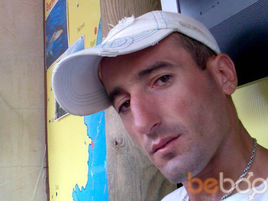  ,   WOLF, 43 ,   ,   , c , 