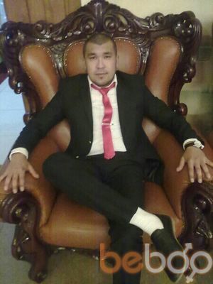  ,   Gans, 39 ,   