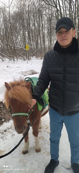  ,   Lion, 26 ,   ,   