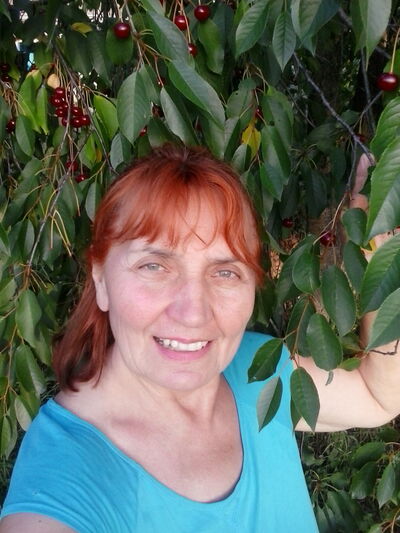  ,   , 62 ,     , c 