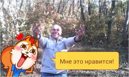  6806559  , 43 ,    