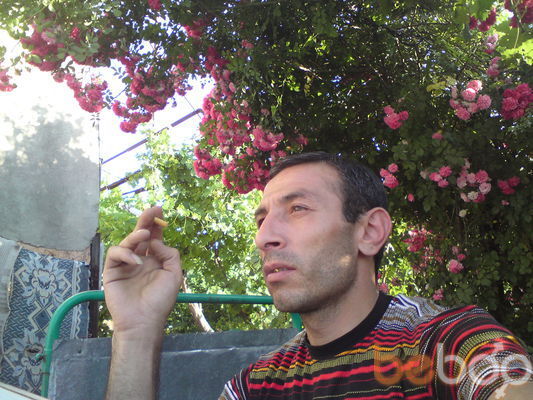  ,   HOVIK, 50 ,   ,   , c 