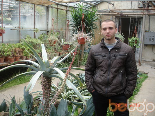  ,   Senea, 33 ,   