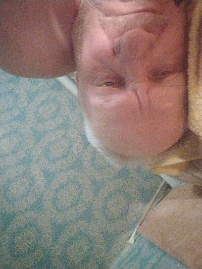  ,   , 65 ,     